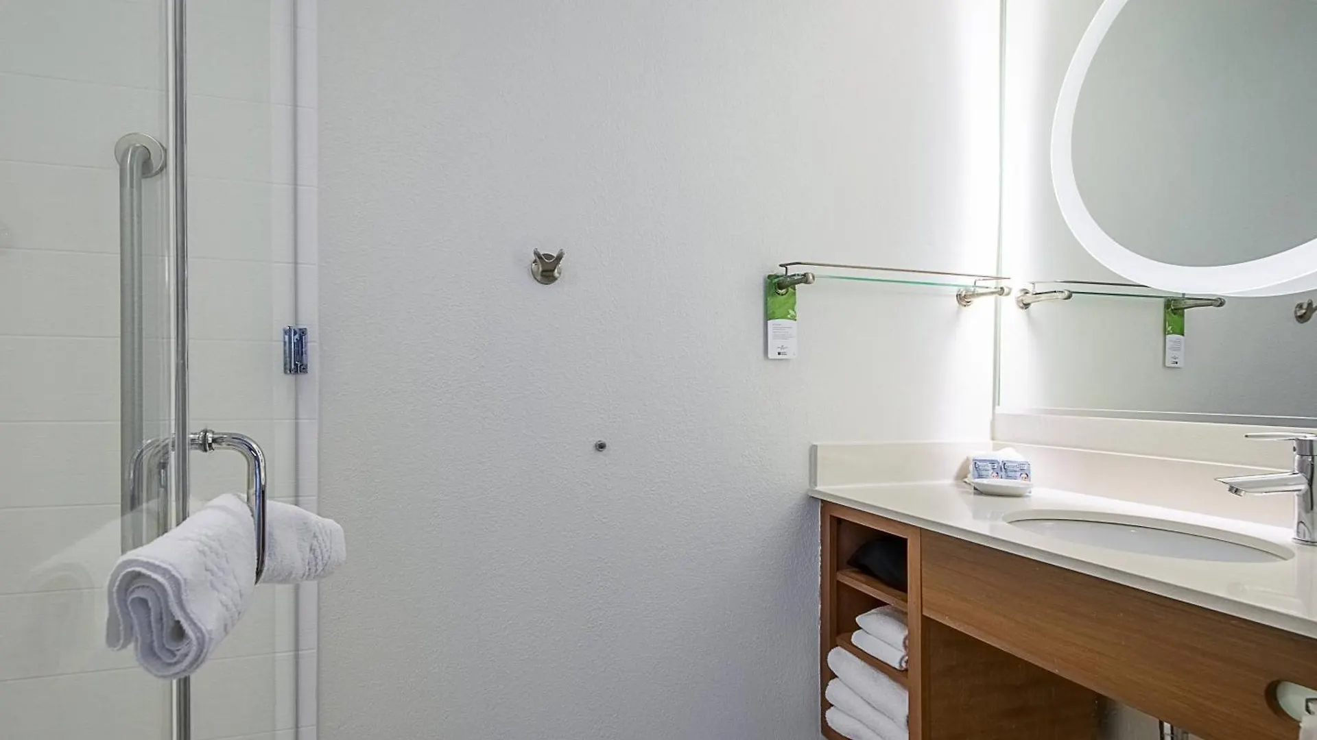 *** Hotel Springhill Suites Tampa North/Tampa Palms United States