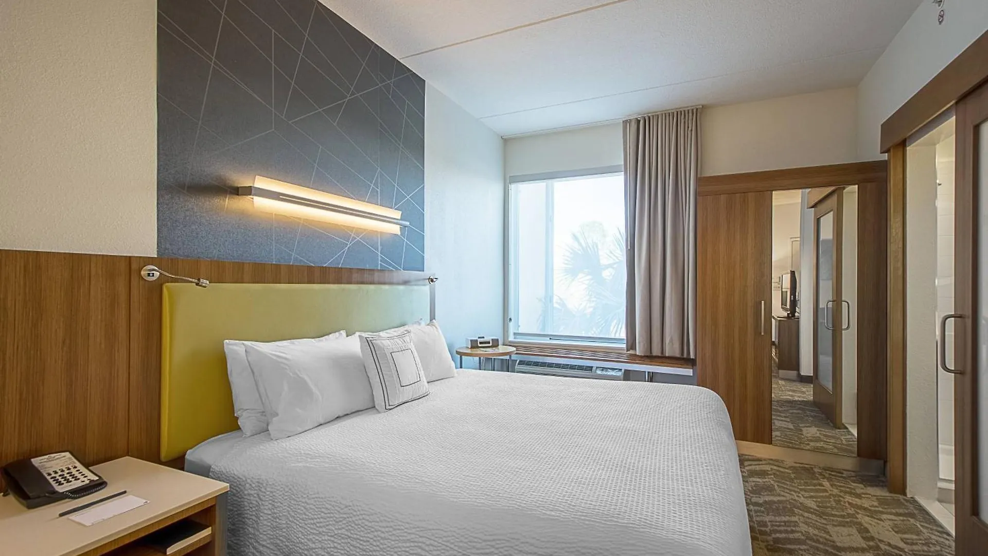 Springhill Suites Tampa North/Tampa Palms