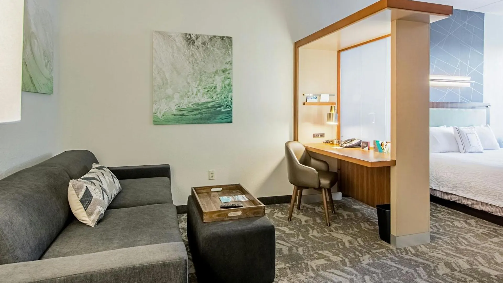 Hotel Springhill Suites Tampa North/Tampa Palms