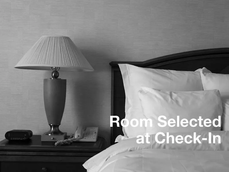 Springhill Suites Tampa North/Tampa Palms